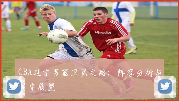 CBA辽宁男篮卫冕之路:阵容分析与赛季展望