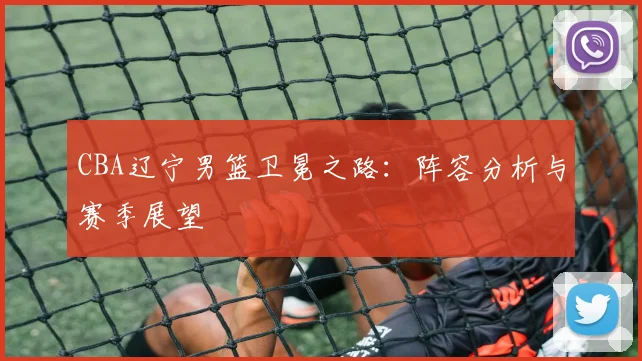 CBA辽宁男篮卫冕之路:阵容分析与赛季展望